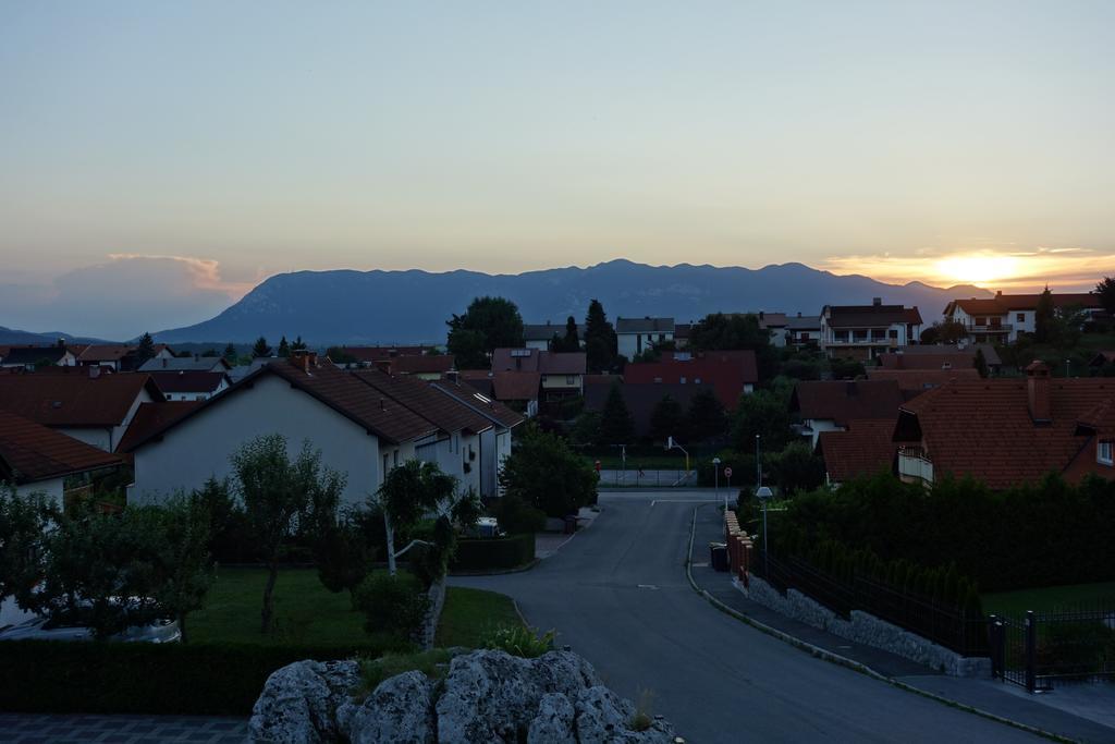 Apartment Beks Postojna Bagian luar foto